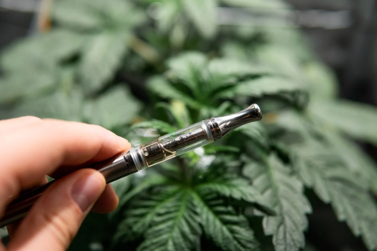 buy thc vapes online